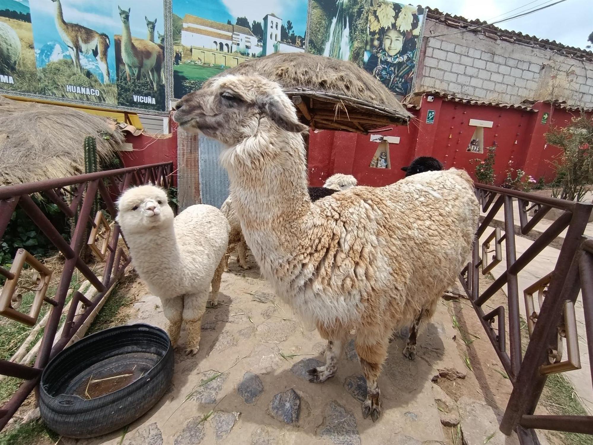 Hotel Humantay Lodge Ollantaytambo Ngoại thất bức ảnh